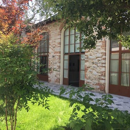 Il Vecchio Studio Pietrasanta Dış mekan fotoğraf